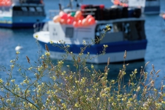 TonKlangLichterBretagne-6