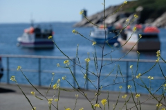 TonKlangLichterBretagne-7