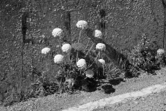 TonKlangLichterBretagne-8