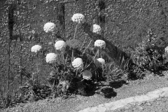 TonKlangLichterBretagne-9