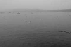 TonKlangLichter_Dans_la_brume-3