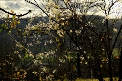 TonKlangLichterDECEMBER-10