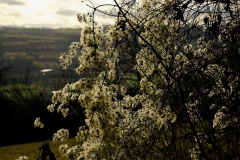 TonKlangLichterDECEMBER-11