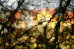 TonKlangLichterDECEMBER-5