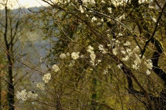 TonKlangLichterDECEMBER-7