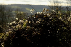 TonKlangLichterDECEMBER-8