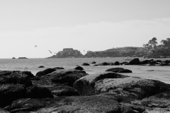 TonKlangLichterDes_Pierres_de_Sainte-Anne-15