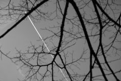 TonKlangLichterFebruar22-13