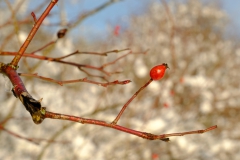 TonKlangLichterFirst16-55mm_Schnee-11