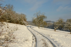 TonKlangLichterFirst16-55mm_Schnee-12