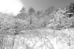 TonKlangLichterFirst16-55mm_Schnee-15