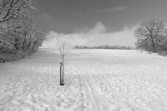 TonKlangLichterFirst16-55mm_Schnee-17