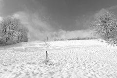 TonKlangLichterFirst16-55mm_Schnee-18