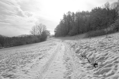 TonKlangLichterFirst16-55mm_Schnee-19