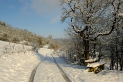 TonKlangLichterFirst16-55mm_Schnee-6