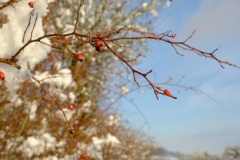 TonKlangLichterFirst16-55mm_Schnee-8