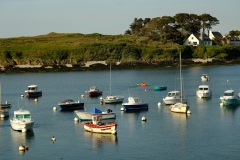 TonKlangLichter_Fruchtig_Farbig_Maiig-10