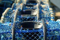 TonKlangLichter_Fruchtig_Farbig_Maiig-2