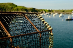 TonKlangLichter_Fruchtig_Farbig_Maiig-3