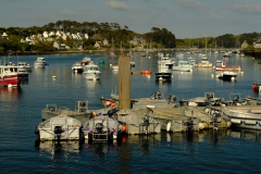 TonKlangLichter_Fruchtig_Farbig_Maiig-5