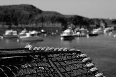 TonKlangLichter_Fruchtig_Farbig_Maiig-6