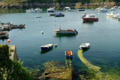 TonKlangLichter_Fruchtig_Farbig_Maiig-9