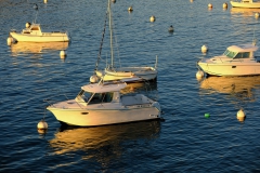 TonKlangLichter_januar26_01-14