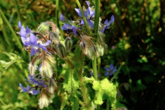 TonKlangLichte_Knoten_Farben_Rostig-1