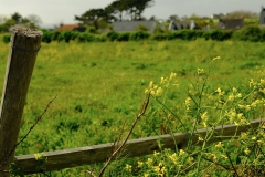 TonKlangLichte_Knoten_Farben_Rostig-11