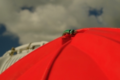 TonKlangLichte_Knoten_Farben_Rostig-23