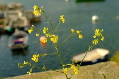 TonKlangLichte_Knoten_Farben_Rostig-24