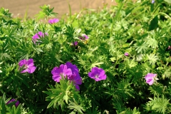 TonKlangLichte_Knoten_Farben_Rostig-3