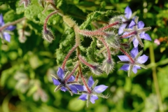 TonKlangLichte_Knoten_Farben_Rostig-5