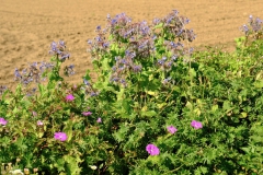 TonKlangLichte_Knoten_Farben_Rostig-6