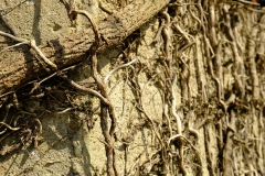 TonKlangLichte_Knoten_Farben_Rostig-8