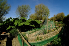 TonKlangLichter_JardinDeVaere_Plougonvelin-11