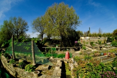 TonKlangLichter_JardinDeVaere_Plougonvelin-12