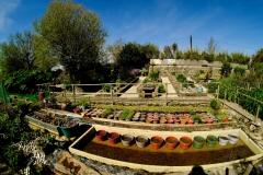 TonKlangLichter_JardinDeVaere_Plougonvelin-13