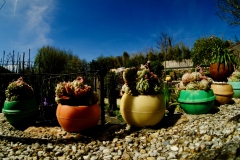 TonKlangLichter_JardinDeVaere_Plougonvelin-15