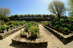 TonKlangLichter_JardinDeVaere_Plougonvelin-17