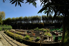 TonKlangLichter_JardinDeVaere_Plougonvelin-19