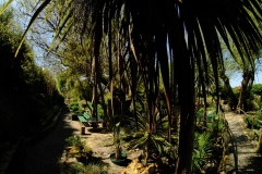 TonKlangLichter_JardinDeVaere_Plougonvelin-33