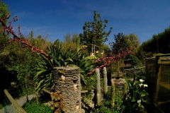 TonKlangLichter_JardinDeVaere_Plougonvelin-38