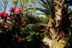 TonKlangLichter_JardinDeVaere_Plougonvelin-42