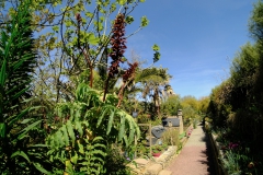 TonKlangLichter_JardinDeVaere_Plougonvelin-43