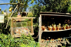 TonKlangLichter_JardinDeVaere_Plougonvelin-6