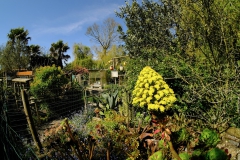 TonKlangLichter_JardinDeVaere_Plougonvelin-7