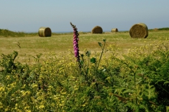 TonKlangLichterBretagneMixJuni-10