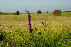 TonKlangLichterBretagneMixJuni-11