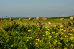 TonKlangLichterBretagneMixJuni-12